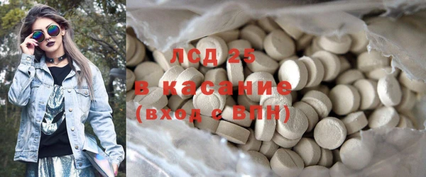 крисы Горняк