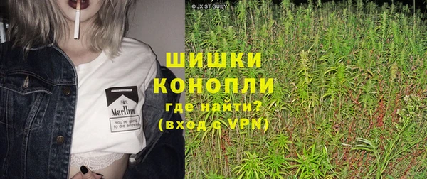 крисы Горняк